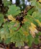 318046 – Photo : Nathan Ruchalski – France (59)